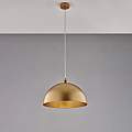 BL289-1-DM35-ORO