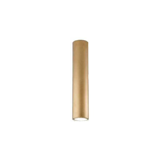 BL297-PL1-ORO