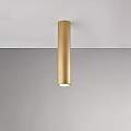 BL297-PL1-ORO