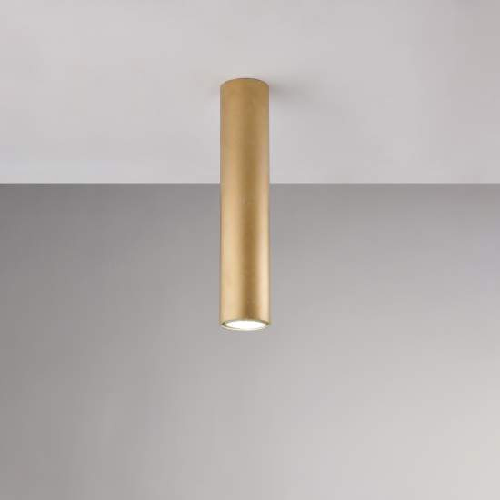 BL297-PL1-ORO