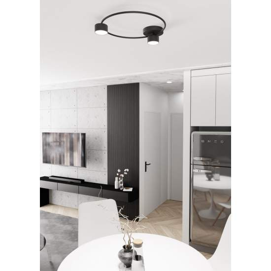 Plafoniera Moderna Zeus Acciaio Nero 2 Luci Gx53 Ip20 LA0001-EB-2-NR