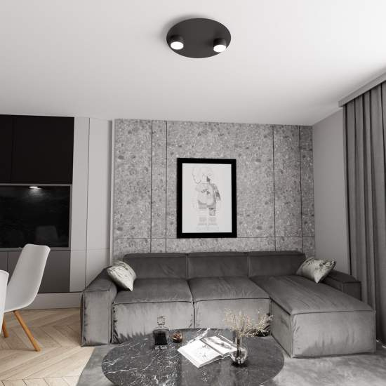Plafoniera Moderna Dioniso Acciaio Nero 2 Luci Gx53 Ip20 LA0012-EB-PL2-NR