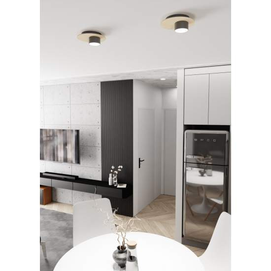 Plafoniera Minimal Persefone Acciaio Nero 1 Luce Gx53 Ip20 LA0014-EB-PL1-NR