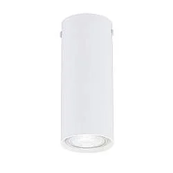 Plafoniera Moderna Faretto Marduk 1 Luce Acciaio Bianco 15 Cm
