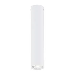 Plafoniera Moderna Faretto Marduk 1 Luce Acciaio Bianco 30 Cm