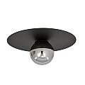 Plafoniera Minimal 1 Luce Mnemosine In Acciaio Nero E Sfera Di Vetro Fumè LA0108-EB-PL1-NR-TR