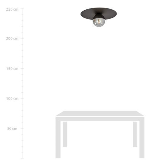 Plafoniera Minimal 1 Luce Mnemosine In Acciaio Nero E Sfera Di Vetro Fumè LA0108-EB-PL1-NR-TR