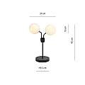 Lampada Da Tavolo Moderna Orione Acciaio Nero 2 Luci E14 Ip20 LA0112-EB-LT2-NR