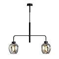 Lampadario Moderno 2 Luci Auriga In Accaio Nero E Vetro Fumè LA0119-EB-2-NR-GR