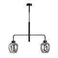 Lampadario Moderno 2 Luci Auriga In Accaio Nero E Vetro Fumè LA0119-EB-2-NR-GR