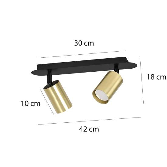 Plafoniera Spot Faretti Regolabili 2 Luci Guanyin A Cilindro In Acciaio Nero E Oro LA0154-EB-PL2-NR