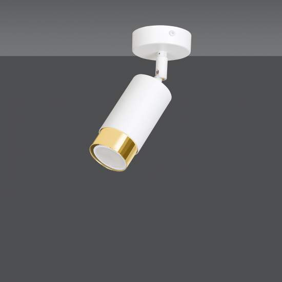 Faretto Orientabile 1 Luce Ragnar A Cilindro In Acciaio Bianco E Oro LA0174-EB-PL1-BI