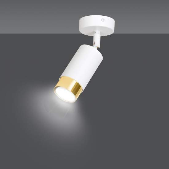 Faretto Orientabile 1 Luce Ragnar A Cilindro In Acciaio Bianco E Oro LA0174-EB-PL1-BI