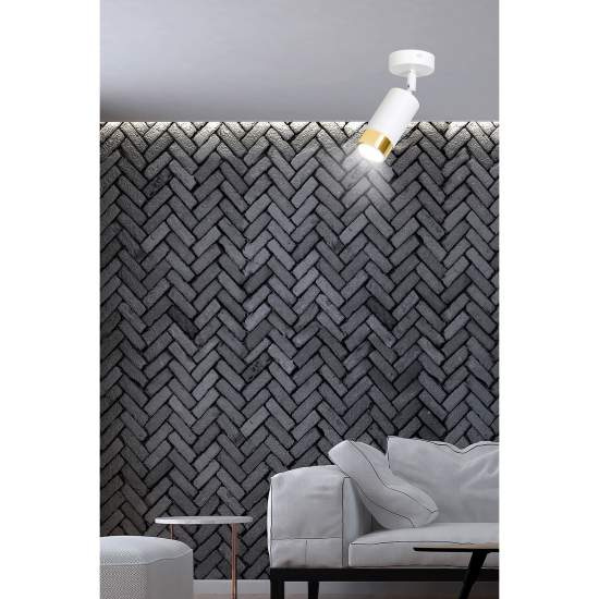 Faretto Orientabile 1 Luce Ragnar A Cilindro In Acciaio Bianco E Oro LA0174-EB-PL1-BI