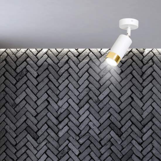 Faretto Orientabile 1 Luce Ragnar A Cilindro In Acciaio Bianco E Oro LA0174-EB-PL1-BI