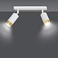 Plafoniera 2 Luci A Faretti Orientabili A Cilindro In Acciaio Bianco E Oro LA0174-EB-PL2-BI-OR