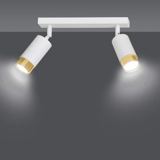 Plafoniera 2 Luci A Faretti Orientabili A Cilindro In Acciaio Bianco E Oro LA0174-EB-PL2-BI-OR