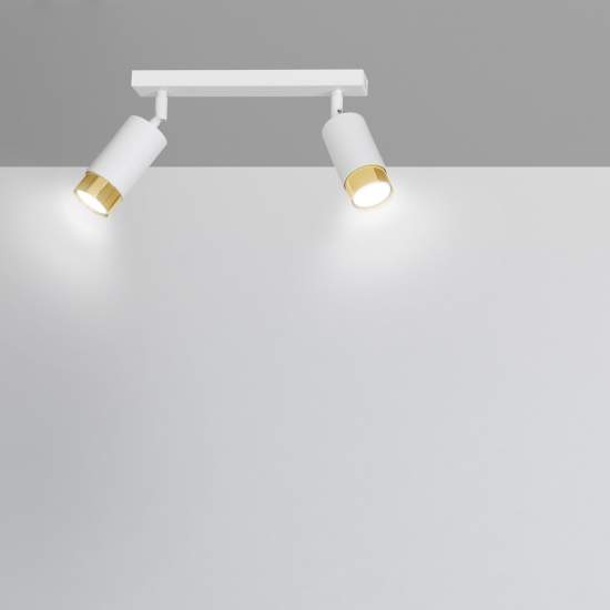 Plafoniera 2 Luci A Faretti Orientabili A Cilindro In Acciaio Bianco E Oro LA0174-EB-PL2-BI-OR