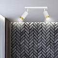 Plafoniera 2 Luci A Faretti Orientabili A Cilindro In Acciaio Bianco E Oro LA0174-EB-PL2-BI-OR