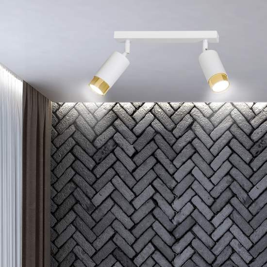 Plafoniera 2 Luci A Faretti Orientabili A Cilindro In Acciaio Bianco E Oro LA0174-EB-PL2-BI-OR
