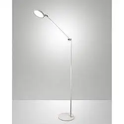 Regina Da Lettura Bianco