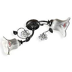 Plafoniera Classica Pisa Metallo E Ceramica Nero Sfumato Argento 2 Luci E14