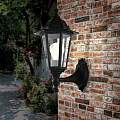 Applique Esterno Riley Alluminio Nero Su 1 Luce E27 Ip44 RL117APNE
