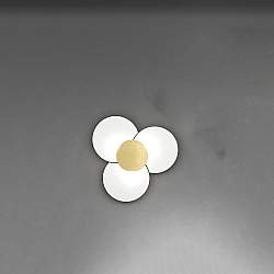 Applique Contemporanea Clover Metallo Foglia Oro Vetro Bianco 6 Luci E27 Applique Contemporanea Clover Metallo Foglia Oro Vetro Bianco 6 Luci E27