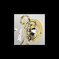 Applique Classica Aegean Acciaio Ottone Lucido 1 Luce E14 AG1-POL-BRASS