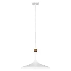 Sospensione Contemporanea Darwin Acciaio Bianco Opaco Legno 1 Luce E27