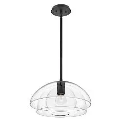 Sospensione Contemporanea Lotus Acciaio Nero Vetro 1 Luce E27