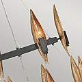 Lampadario Contemporaneo Willow Acciaio Nero Carbone Oro Deluxe Oro 18 Luci E14 QN-WILLOW18-CBK