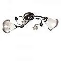 Plafoniera Classica Siena Metallo E Ceramica Nero Sfumato Argento 2 Luci E14 C1184-2-NA-02