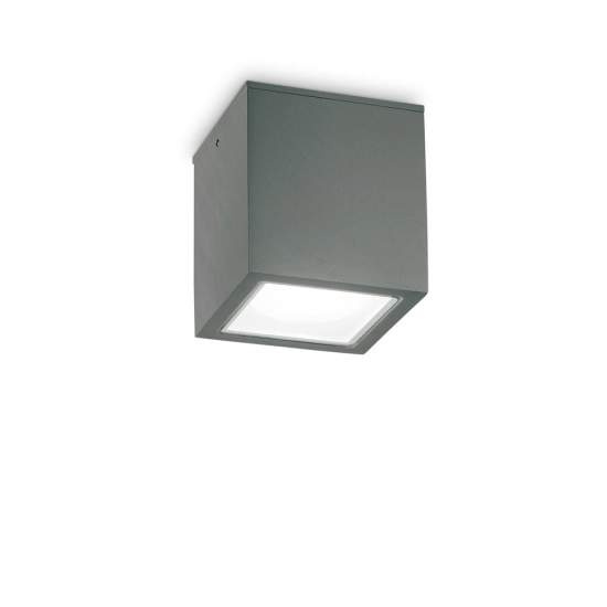 251516