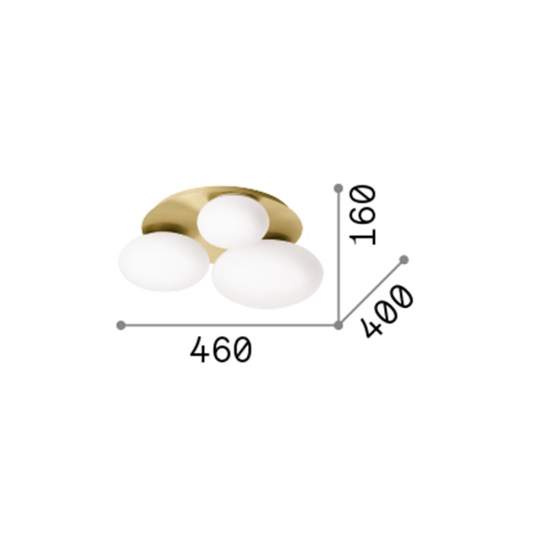 306964