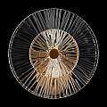 Applique Contemporanea Aster 1 Luce Con Diffusore Vetro E Rosone Oro In Metallo MOD007WL-01G