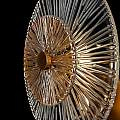 Applique Contemporanea Aster 1 Luce Con Diffusore Vetro E Rosone Oro In Metallo MOD007WL-01G