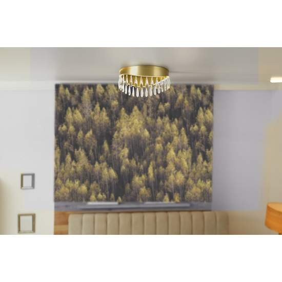Plafoniera Classica Gioiello Acciaio Oro Vetro Led 21W 4000K 19211-1GO