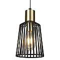 Sospensione Industrial Birg Cage Acciaio Nero Adjustable 1 Luce E27 D16Cm 9412BK