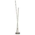 Piantana Contemporaneo Trifoglio Acciaio Cromo Vetro Trasparente Led 30W 4000K EU2112CC