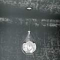 Sospensione Contemporanea Drop Metallo E Vetro Cromo 1 Luce E14 D.26Cm 1134CR_SG-CR