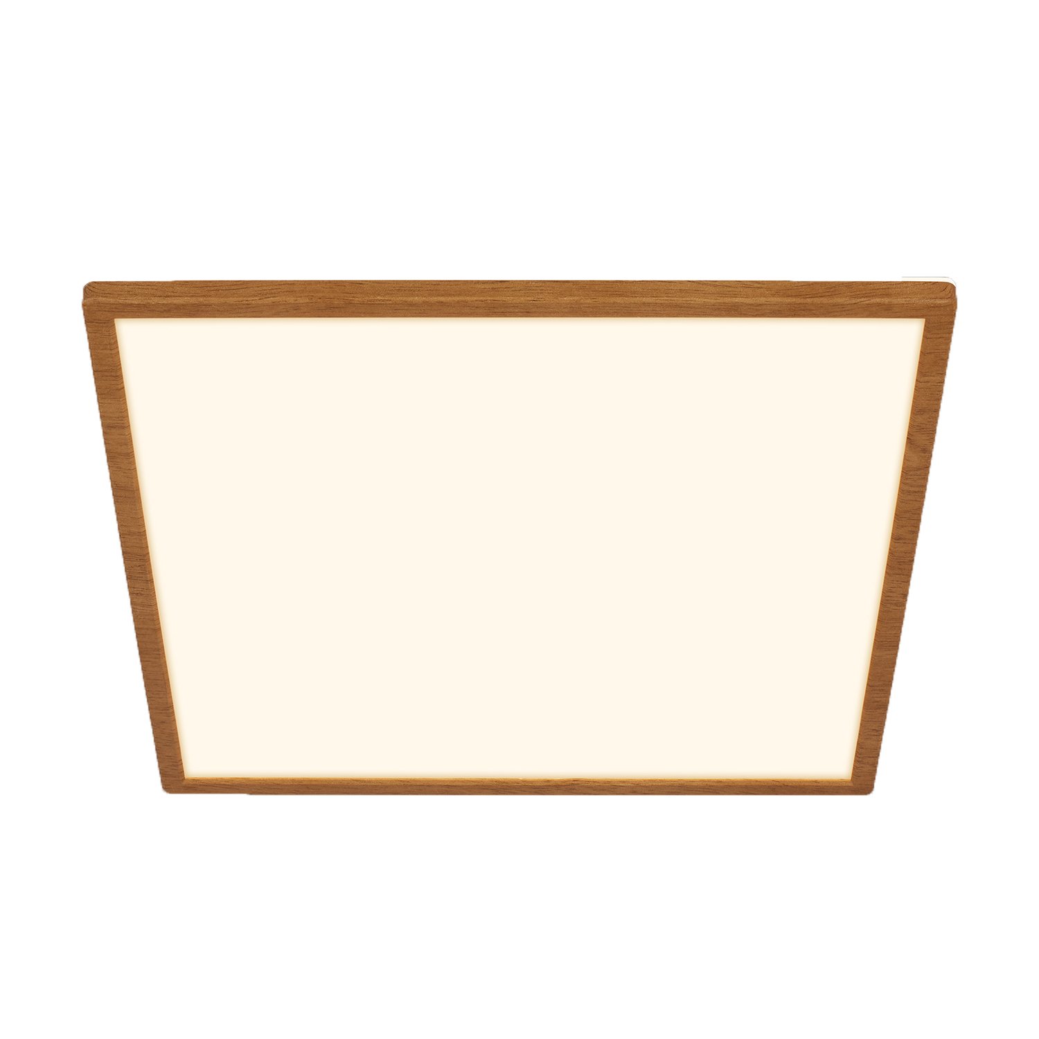 Specchio Decorativo Simpsons Stupid Gravity Con Cornice Effetto Legno - 20x30 Cm