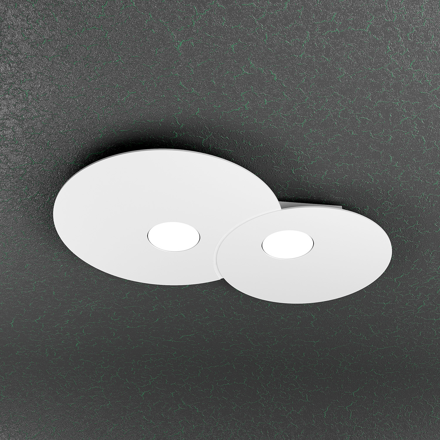1128_PL2R-BI
