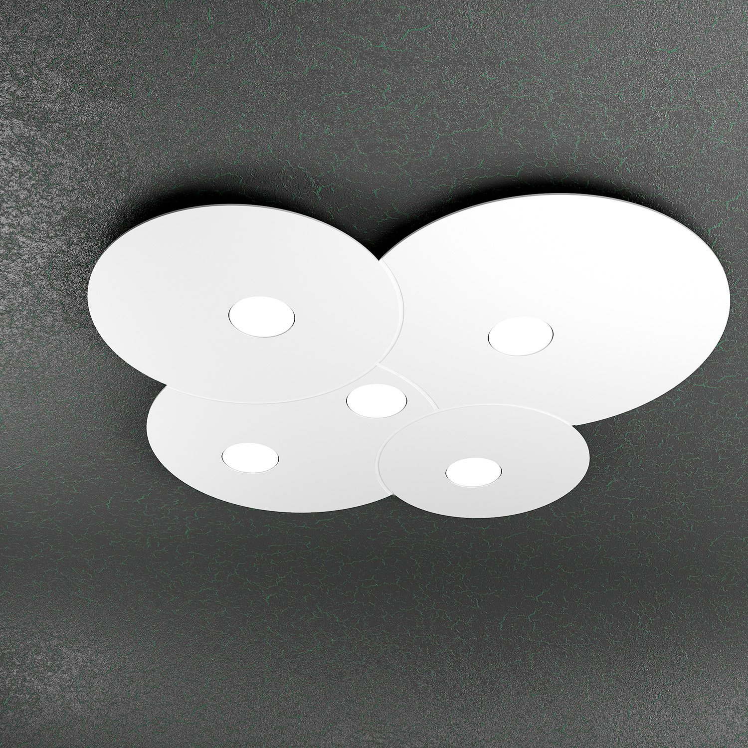 1128_PL5-BI